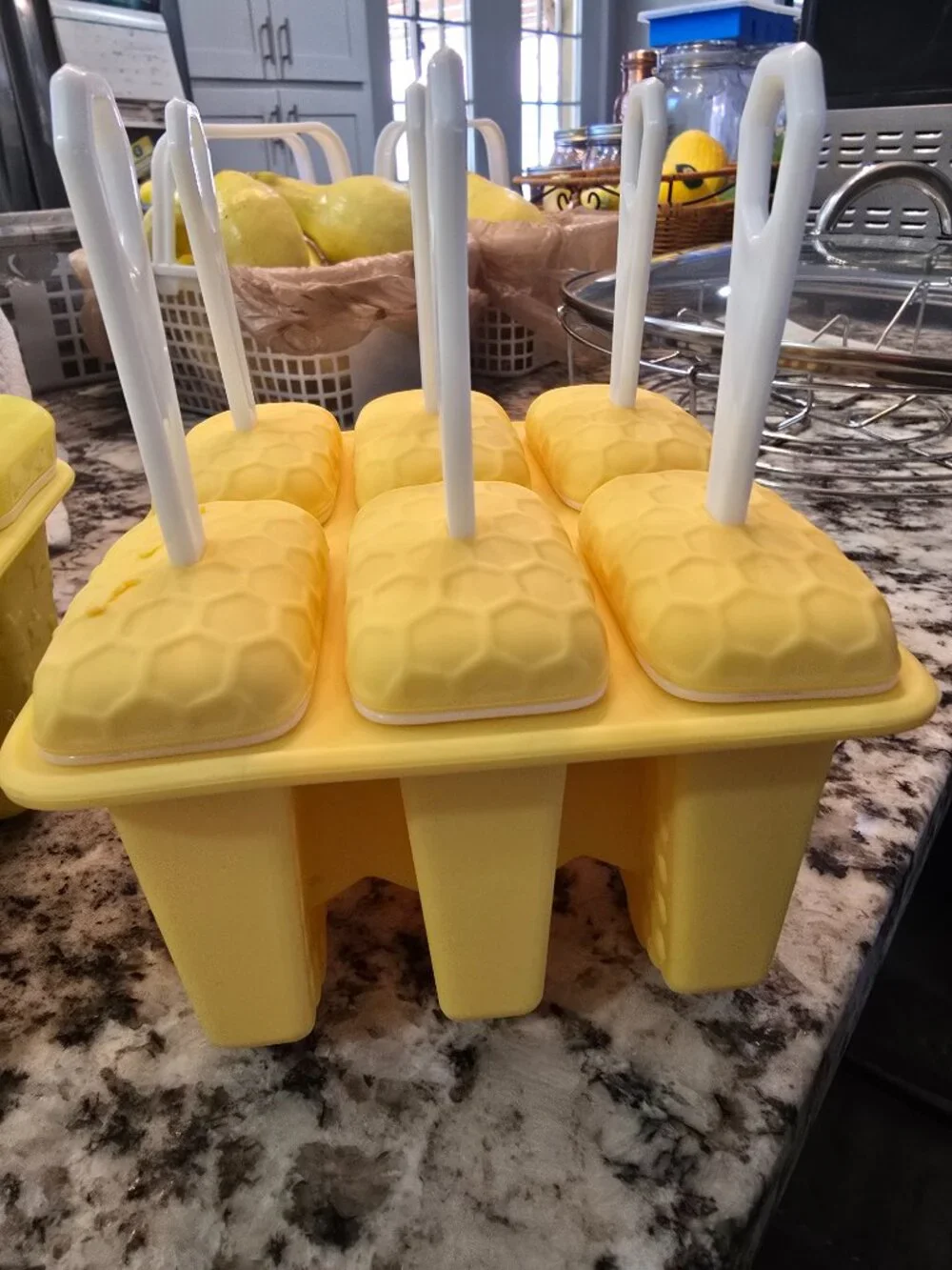 Silicon Popsicle Molds Set of 2 Summertime Treats
